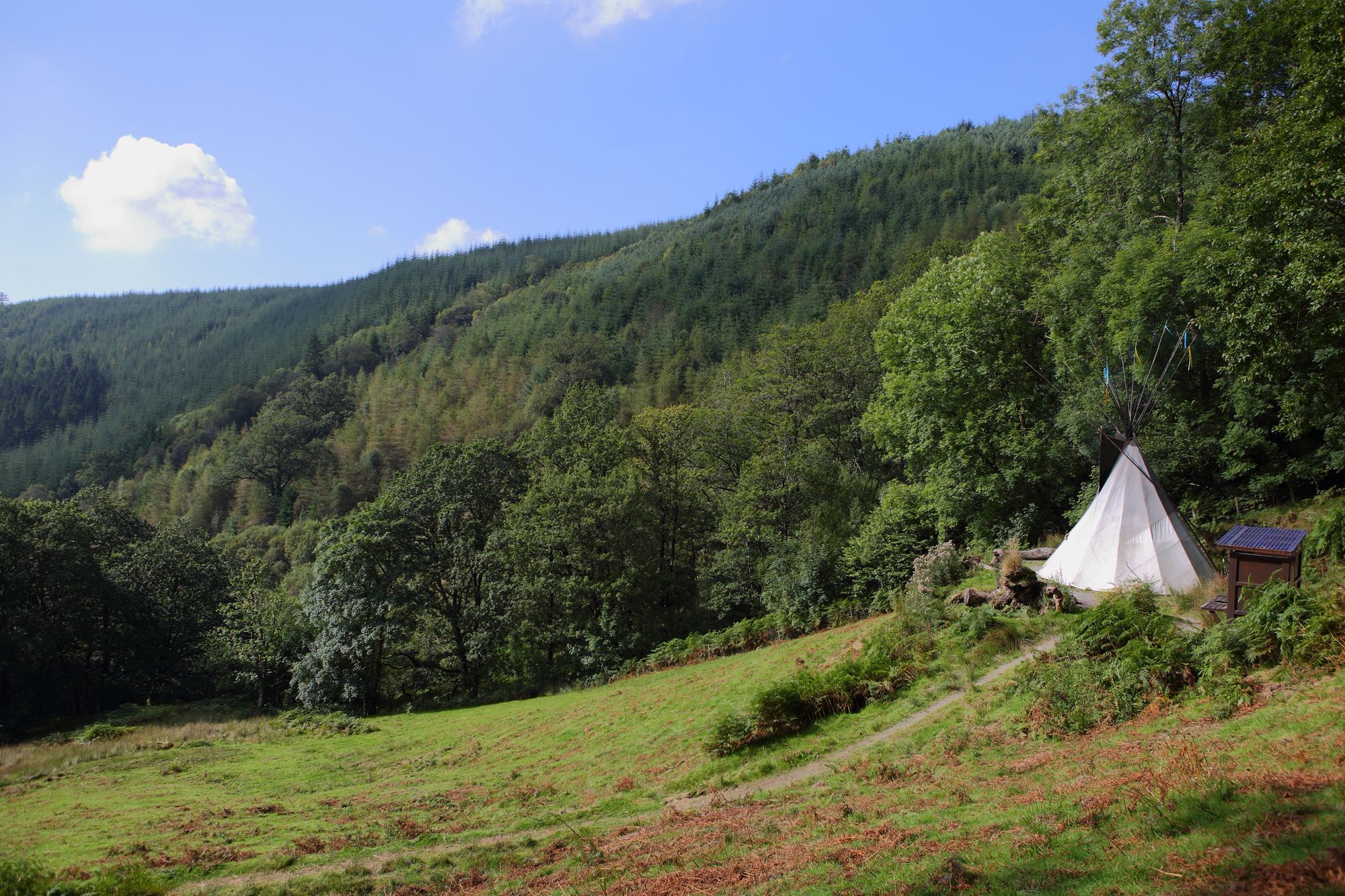 Glamping Tipis
