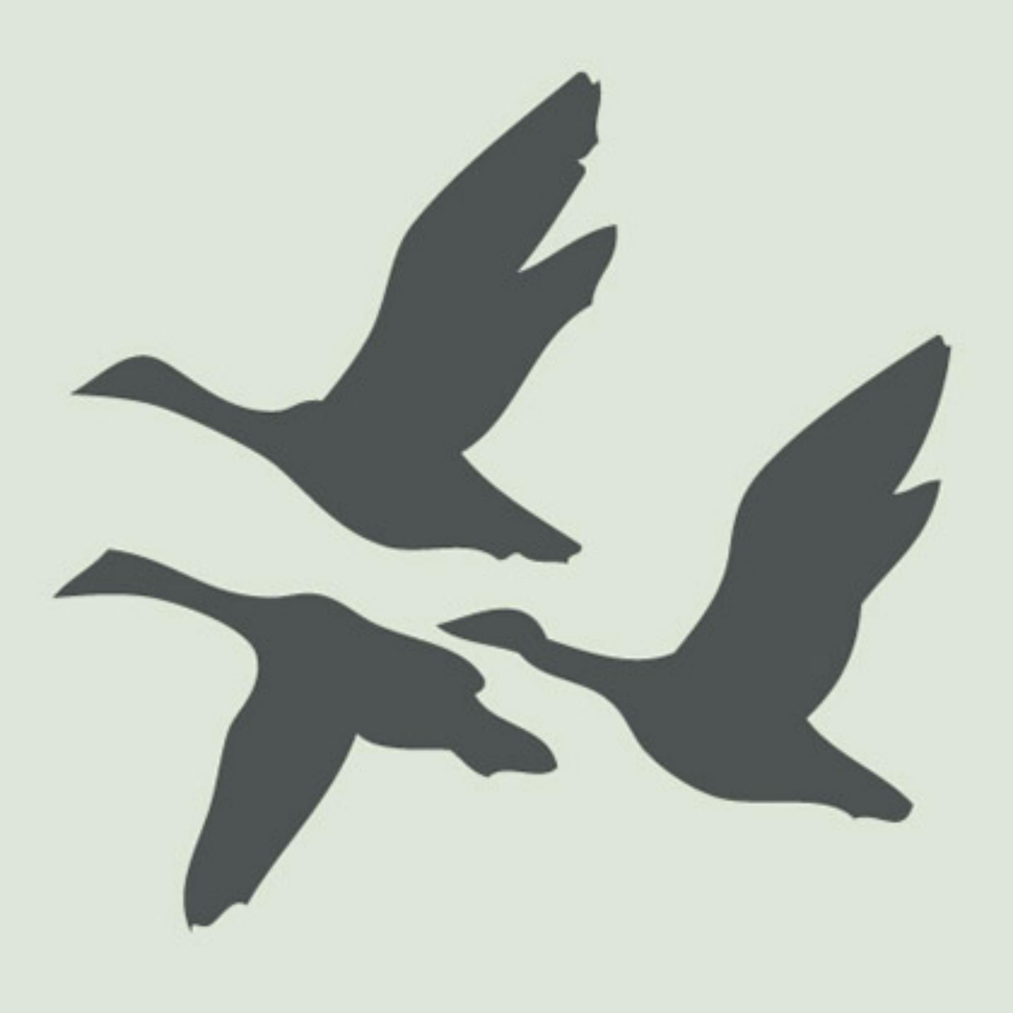 Puddle and Snowdrop Cottages