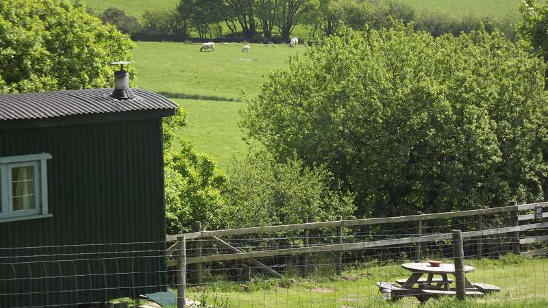 Shepherds Hut with hot tub