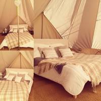 COSY "Belle" Tent 6m Grassland