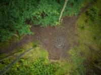 Woodland Tent Pitch 8 (3.5m x 3.5m)