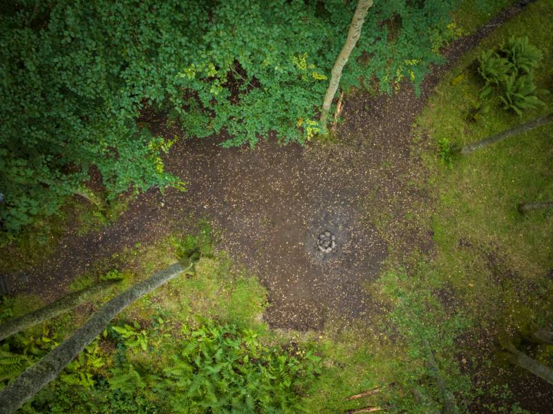 Woodland Tent Pitch 8 (3.5m x 3.5m)