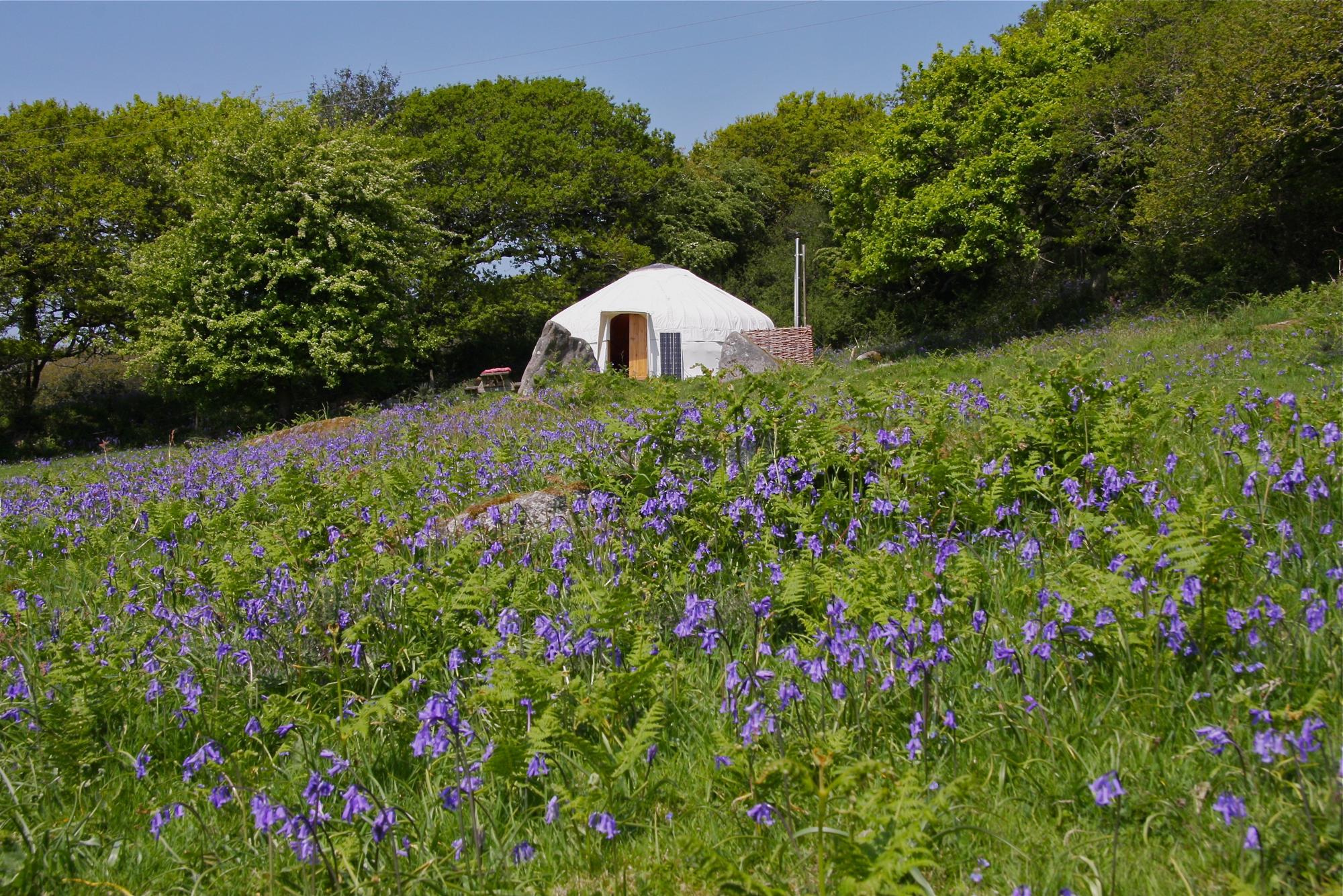 Glamping in Bodmin holidays at Cool Camping