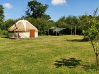 Beech Yurt