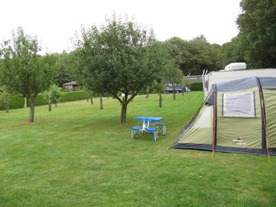 Electric pitch - Orchard Field 4x7m