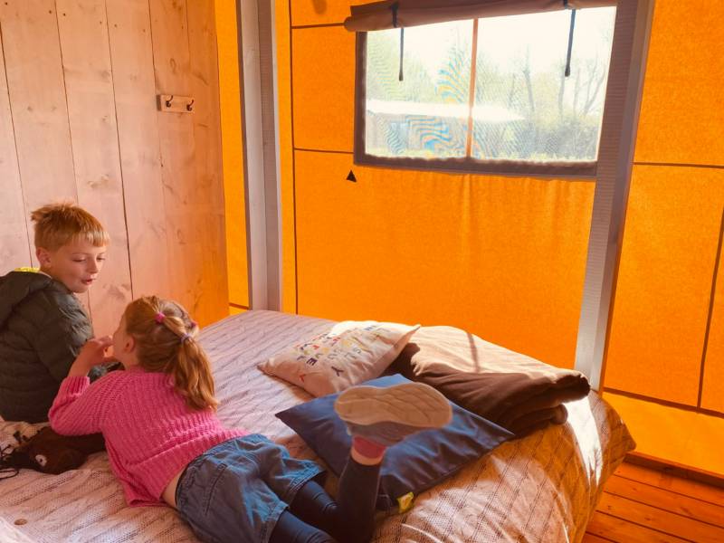 Swallow's Snug Safari Tent