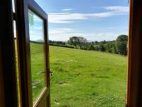 Ardwyn Pod