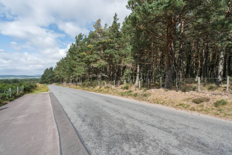 Pitch 10 - Cairngorm