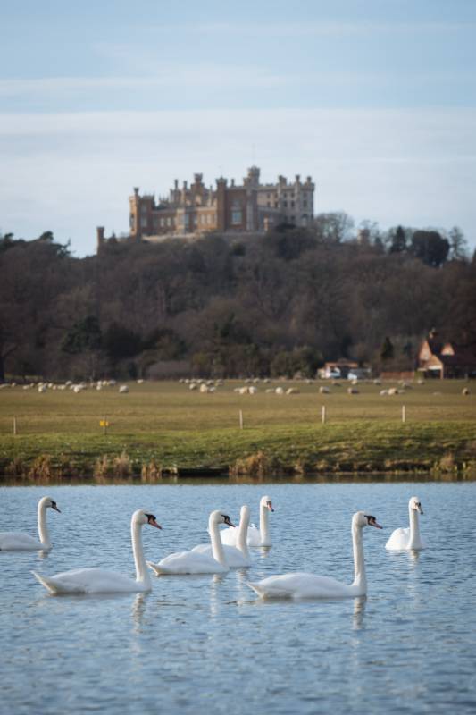 Pitch 33: Hard standing