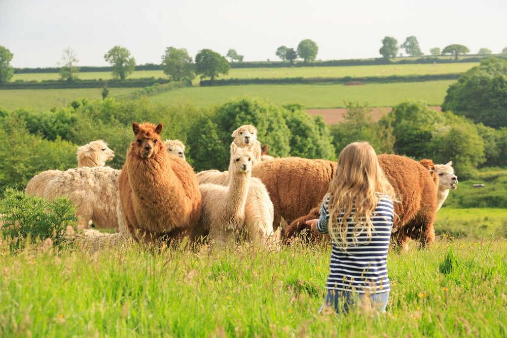 Hotels, Cottages, B&Bs & Glamping in Somerset - Cool Places to Stay in the UK