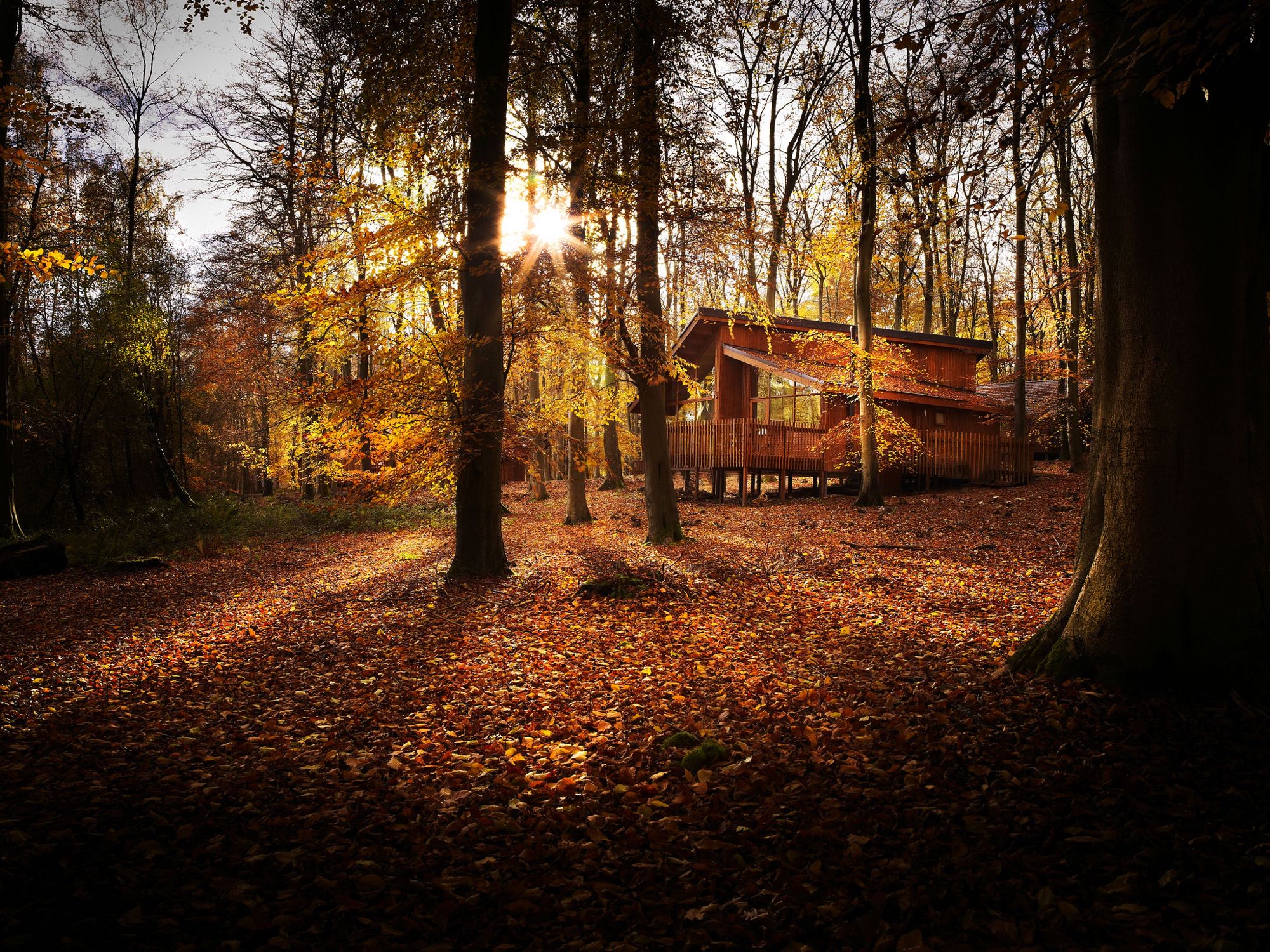 Forest Holidays - luxury log cabins across the UK - Cool Places to Stay in the UK