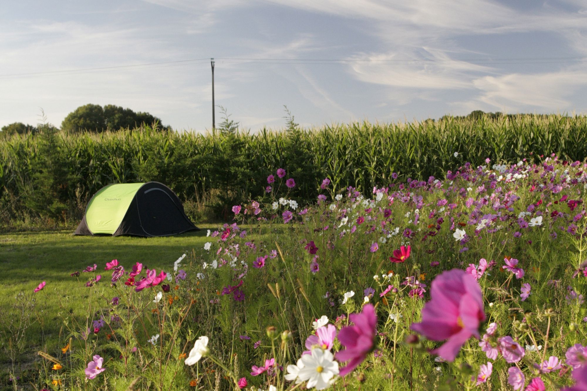Campsites in Loir-et-Cher
