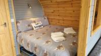 Cosy Cow
