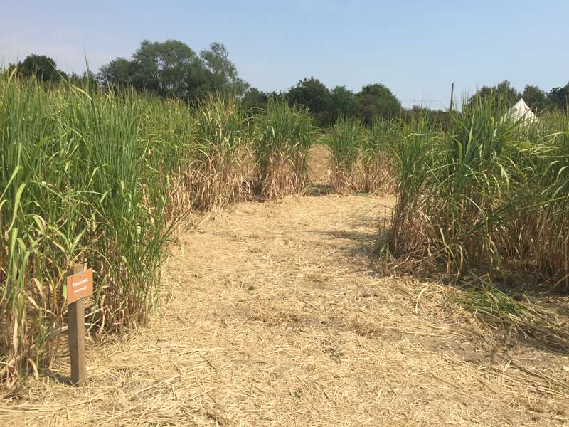Oyster Catcher Bell Tent