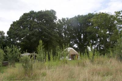 Oak Yurt