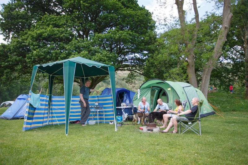 Medium Tent Grass Pitch (NO ELECTRIC HOOK UP)