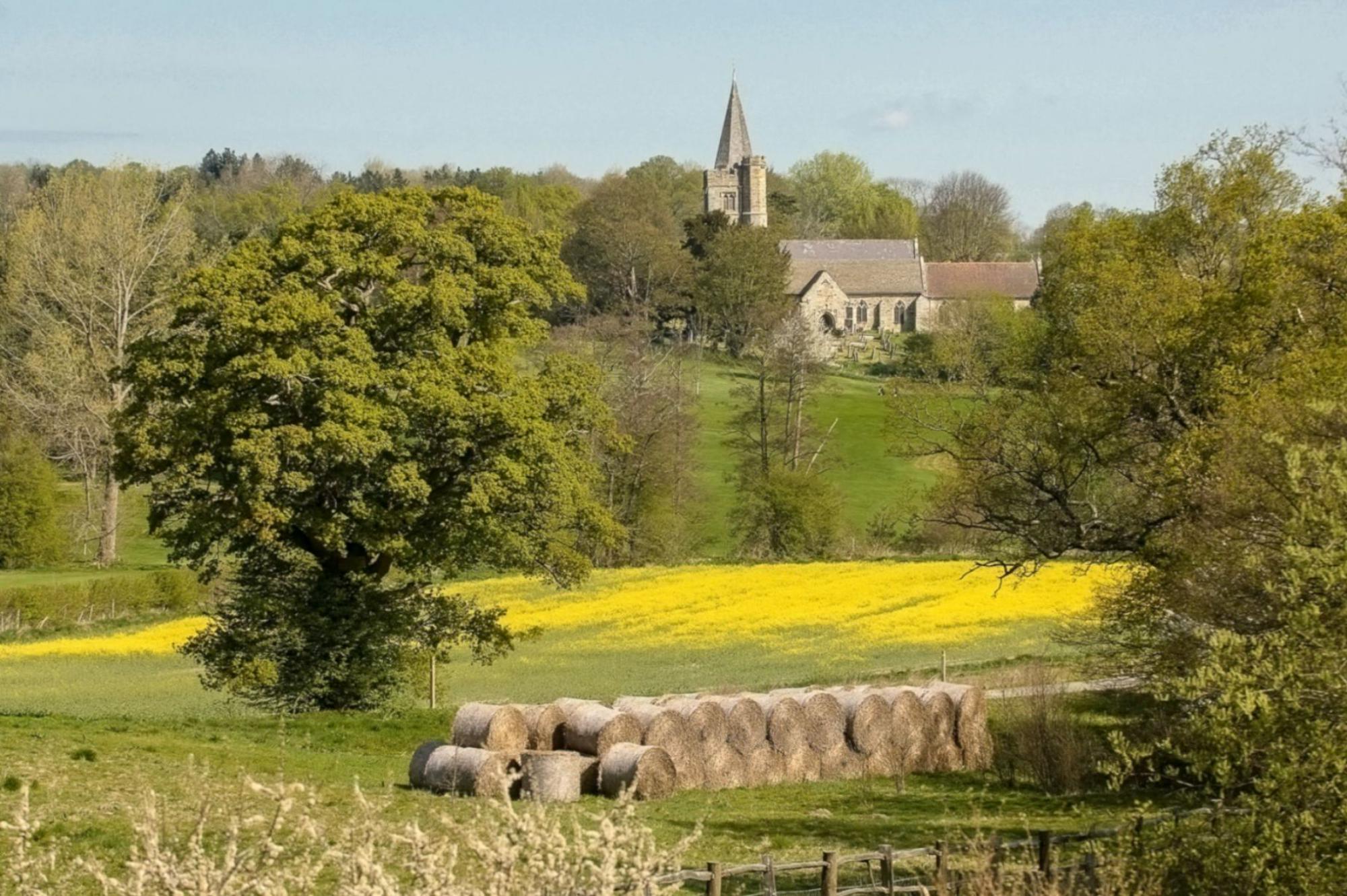 Campsites in Kent – I Love This Campsite