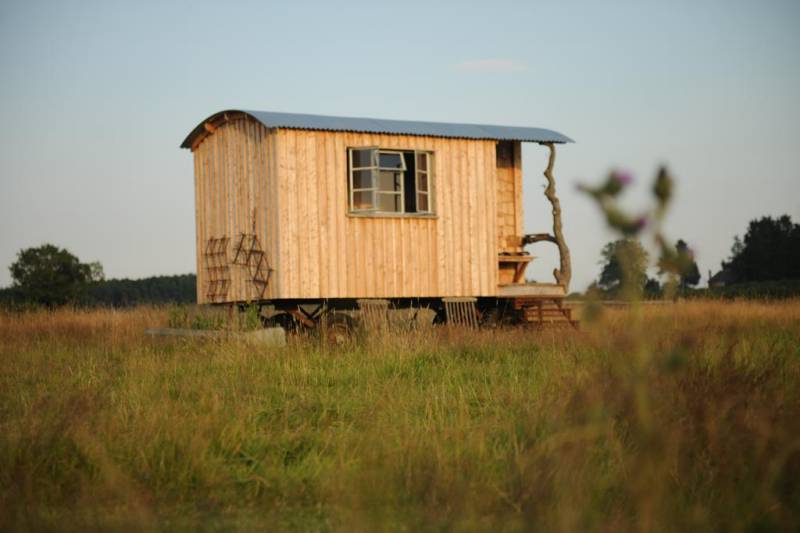 Cedar Cabin Wagon