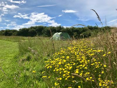 Walton West Campsite Lower Foxhill, Walton West, Little Haven, Pembrokeshire SA62 3UA