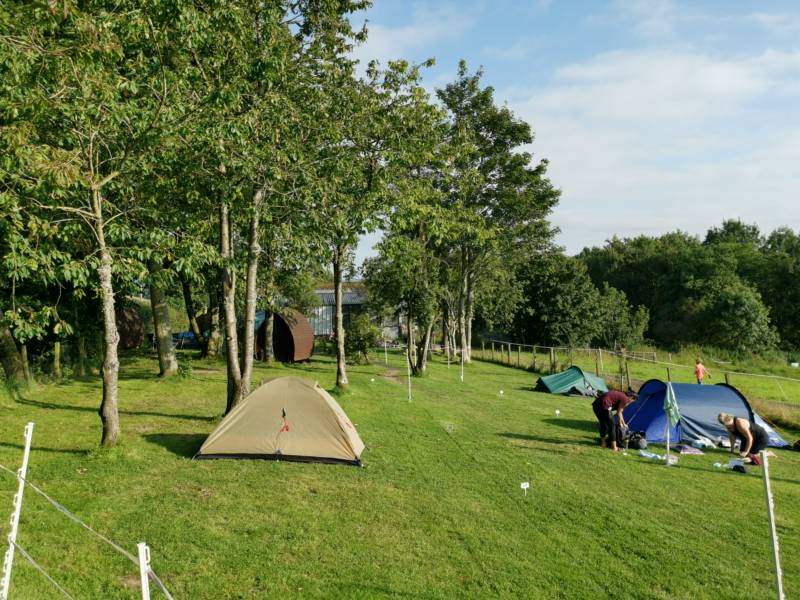 Family Pitch for larger tents / Campervan
