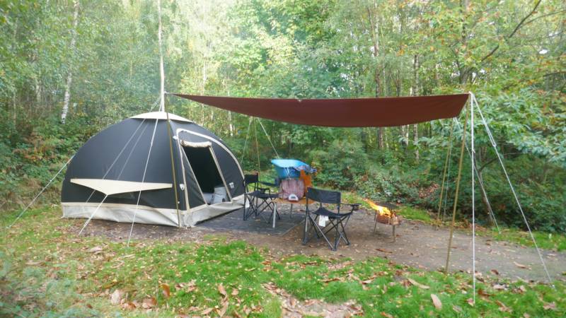 Forest Tent Pitch