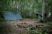 Small Woodland Pitch