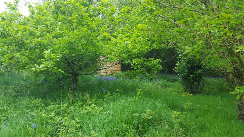 Bell Tent Sleeps upto 5