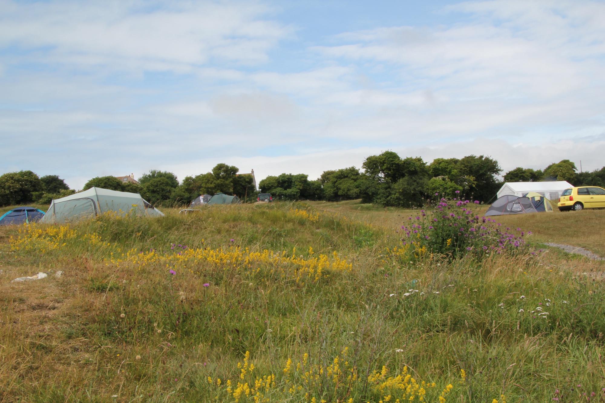 Studland Camping Best campsites in Studland, Dorset