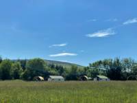 1 - Barn Owl Pioneer Camp