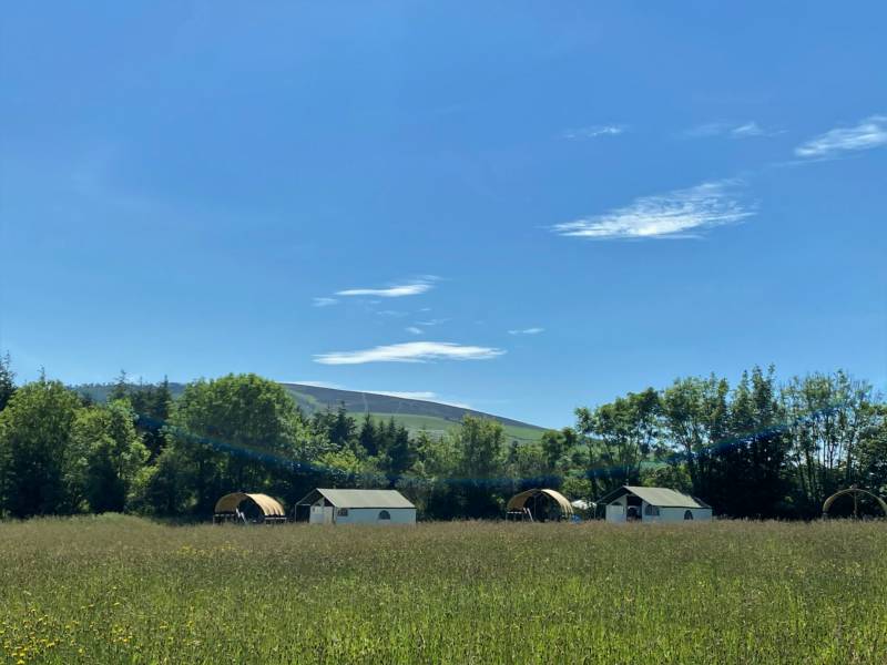 1 - Barn Owl Pioneer Camp