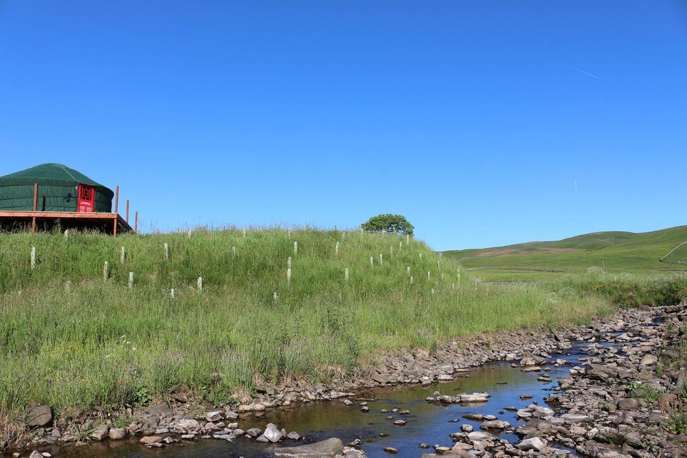 Campsites in South Scotland – Top sites in Southern Scotland – Cool Camping