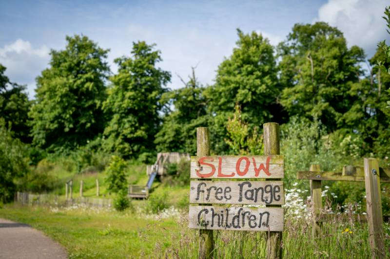 Lower Meadow camping pitch (1 tent or 1 van)