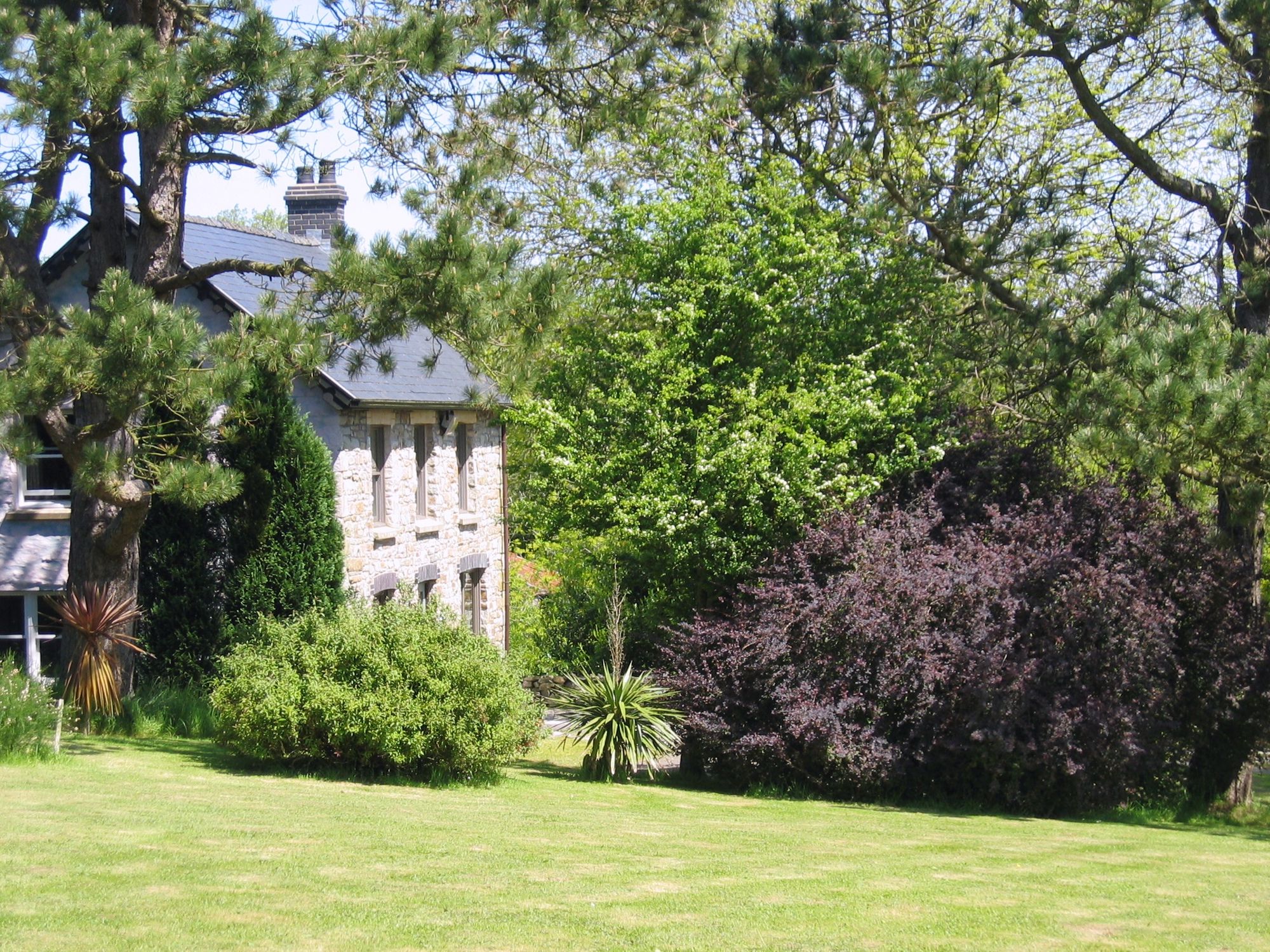 B&Bs in Mid Wales holidays at Cool Places