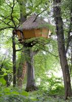 Treehouse glamping in a Normandy woodland