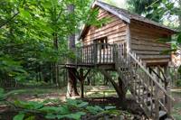 "Panda" Family Tree House