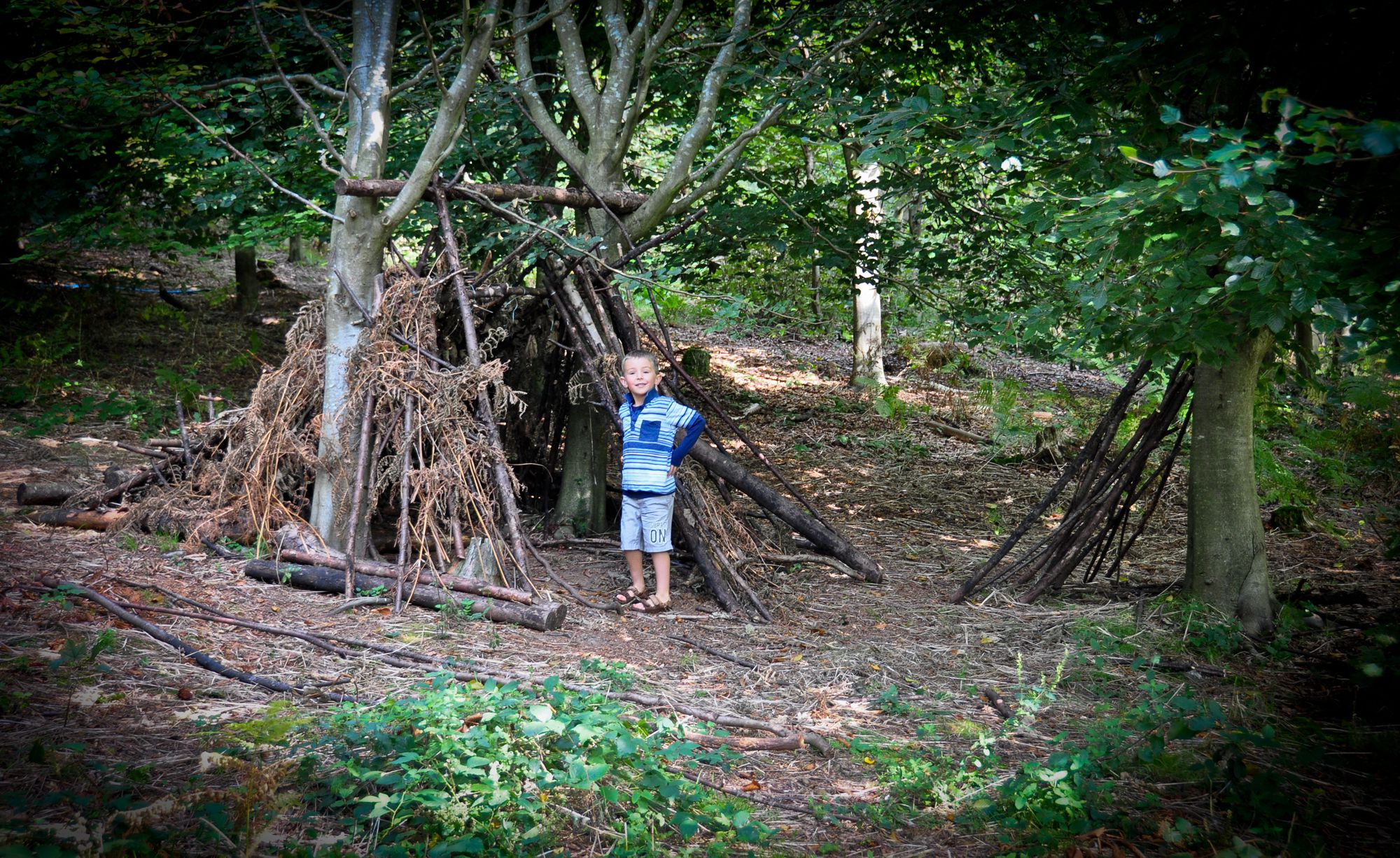Woodland Camping in Sussex Forest Camping