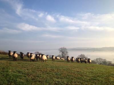Campsites Open All Year 15 Of The Best Winter Campsites In England
