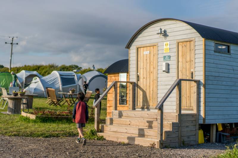 NonElectric Standard Grass Pitch