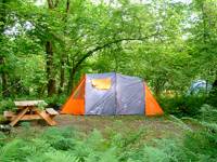 Bramble Woodland Pitch