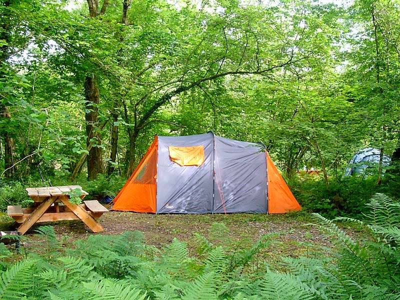 Bramble Woodland Pitch