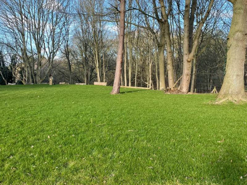 The Glade - family grass pitch