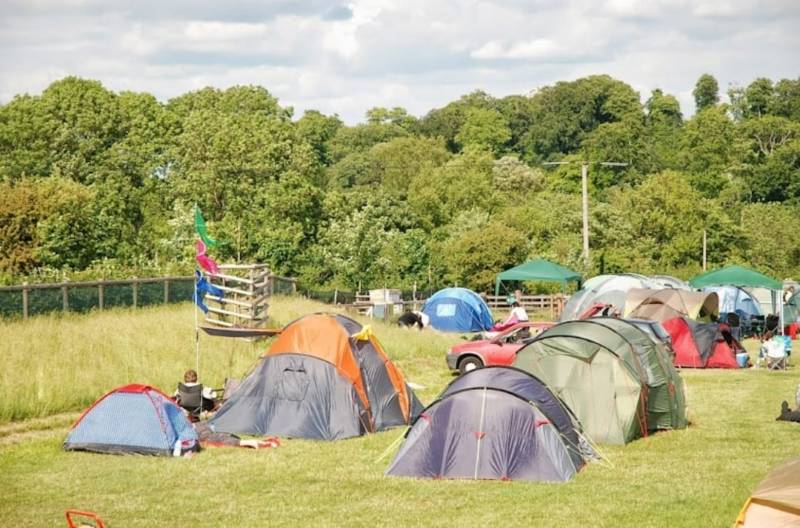 Campfire Fire Field Grass Pitch
