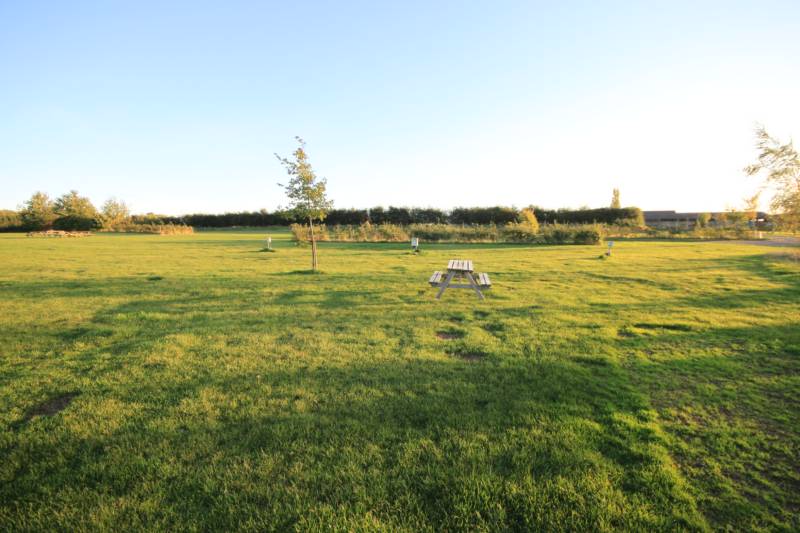 Grass electric pitch B1