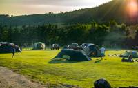 Grass Tent Camping Pitch
