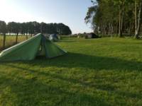 Family Pitch for larger tents / Campervan