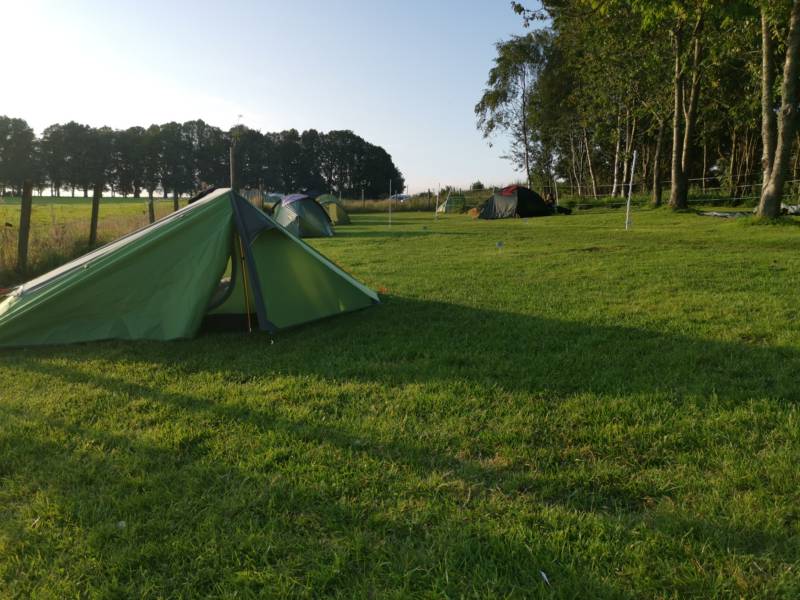 Family Pitch for larger tents / Campervan