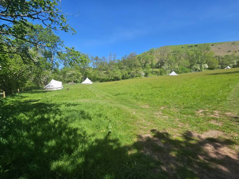4m Bell Tent 'Cuckoo'