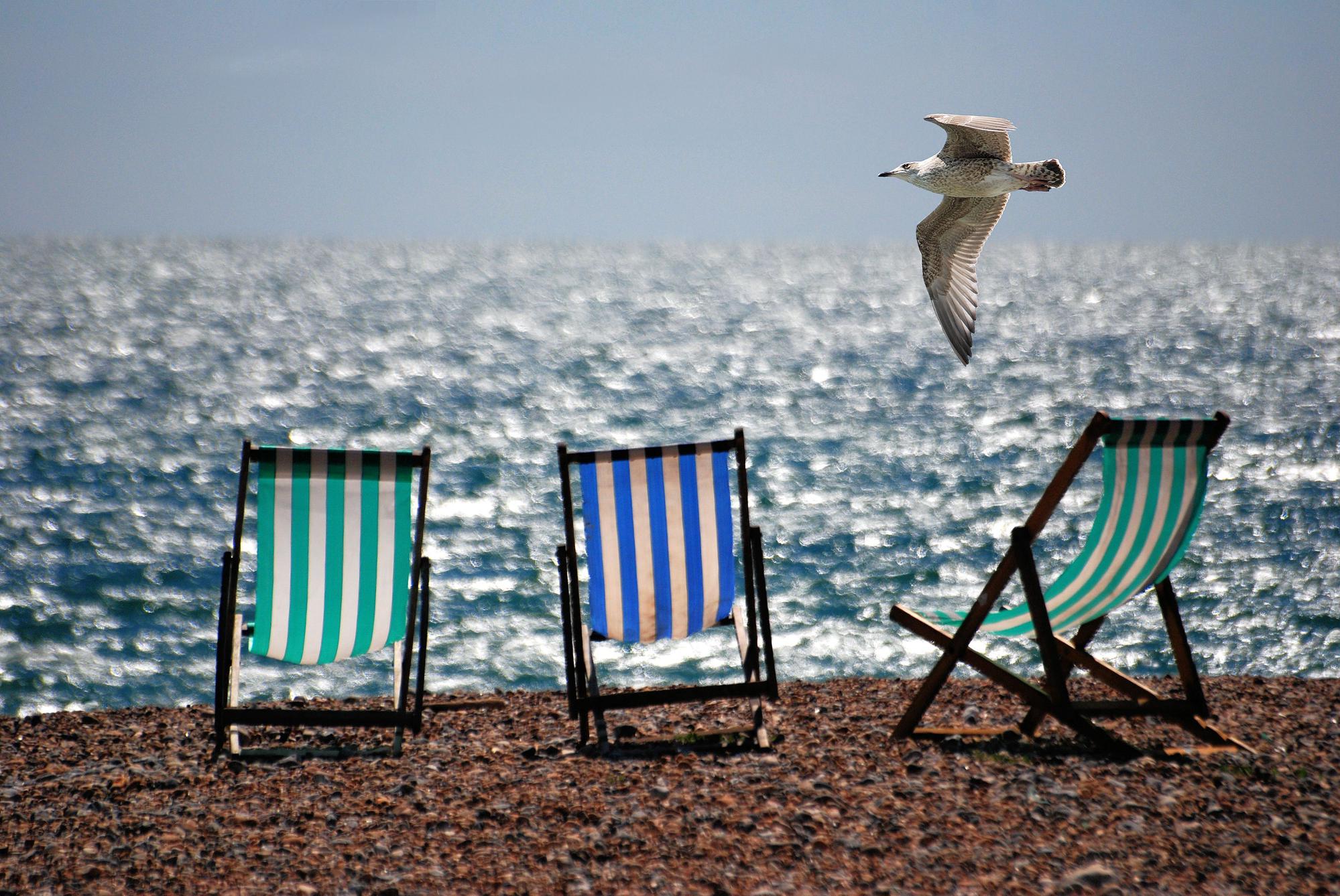 Bexhill Camping | Campsites in Bexhill on Sea, Sussex