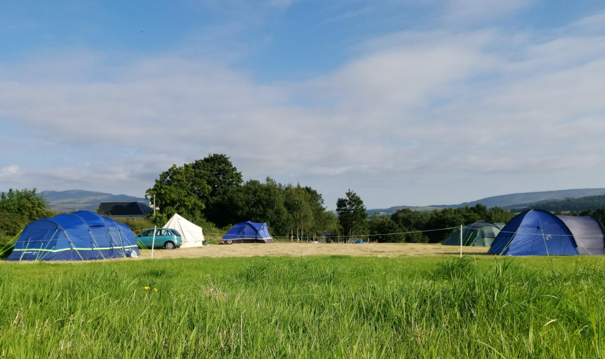 Family Pitch For Larger Tents Campervan 27 At Drymen Camping Cool Camping 18296