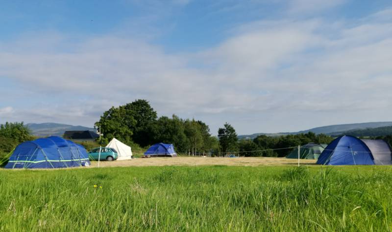 Family Pitch for larger tents / Campervan